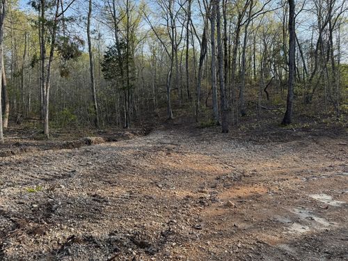 0 Roan Creek Rd, Lobelville, TN, 37097 | Card Image