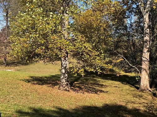 Lot 3 Miller Rd, Cookeville, TN, 38501 | Card Image
