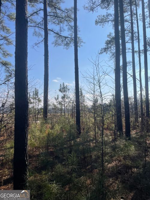 00 Hebron Church Rd, thomaston, GA, 30286 | Card Image