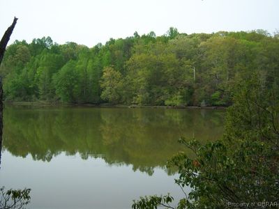 View of water feature | Image 1