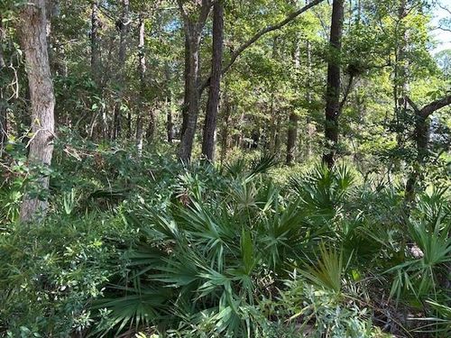 712 Indian Pl, Dauphin Island, AL, 36528-4442 | Card Image