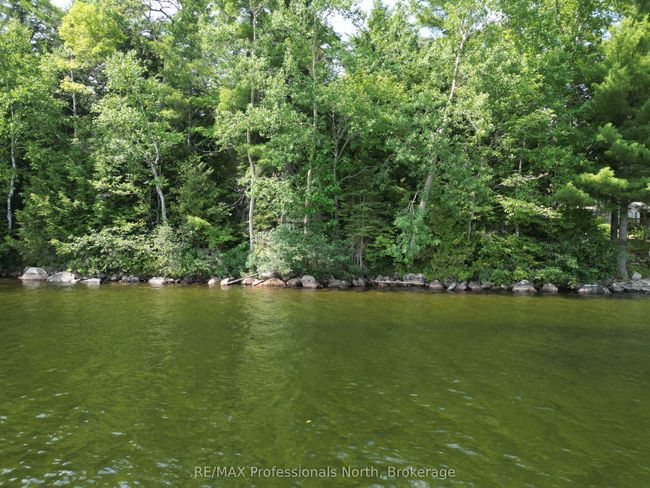 0 Halls Lake Rd, Home with 0 bedrooms, 0 bathrooms and null parking in Algonquin Highlands ON | Image 5
