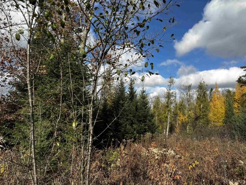 TBD Harry Peterson Drive, Foster City, MI, 49834 | Card Image