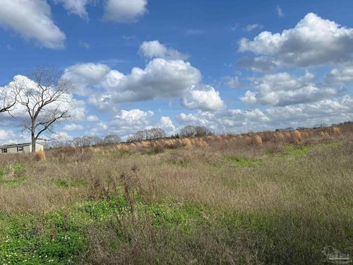 0 T Bridge Rd, Red Level, AL, 36474 | Card Image