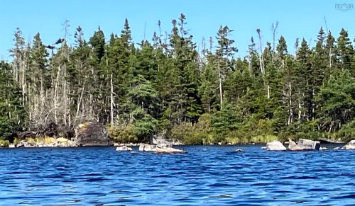 000 Highway16, Half Island Cove, NS, B0H1N0 | Card Image