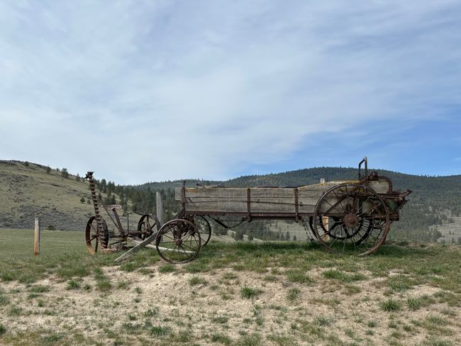 View of yard | Image 86
