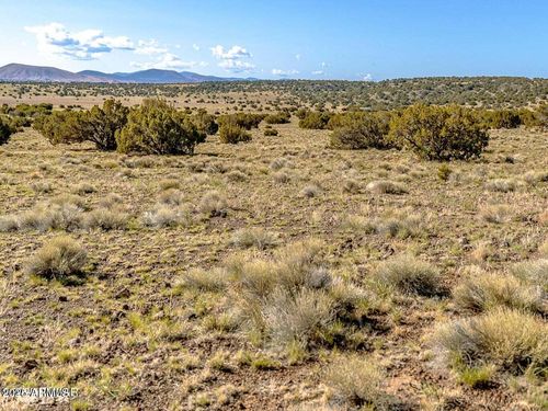 --TBD Co Rd 5106 Lot #2 1.1 Acres --, Concho, AZ, 85924 | Card Image