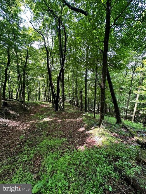 114 Patterson Creek Road, LAHMANSVILLE, WV, 26731 | Card Image