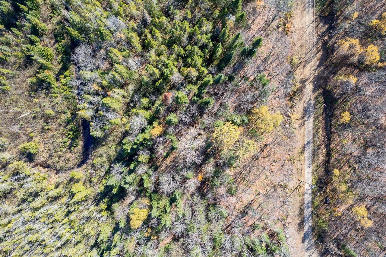 Land in Saint-Didace 3