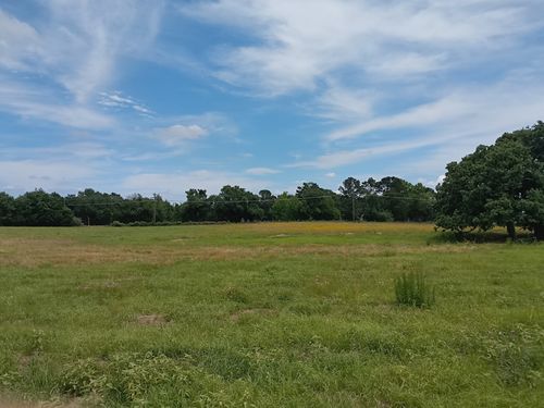 35 AC Fm 1512, Donie, TX, 75838 | Card Image