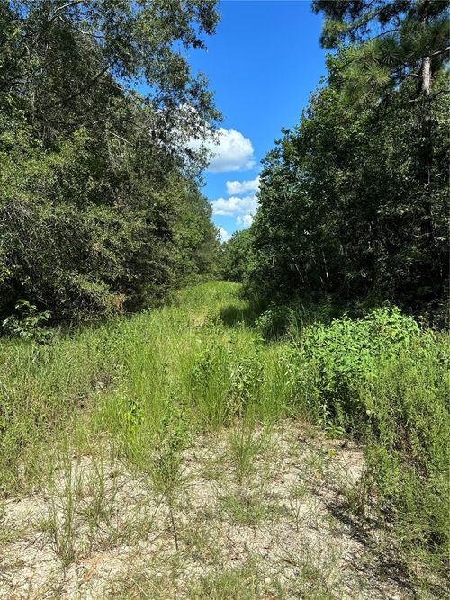 (43208) Wakeforest, Livingston, TX, 77351 | Card Image