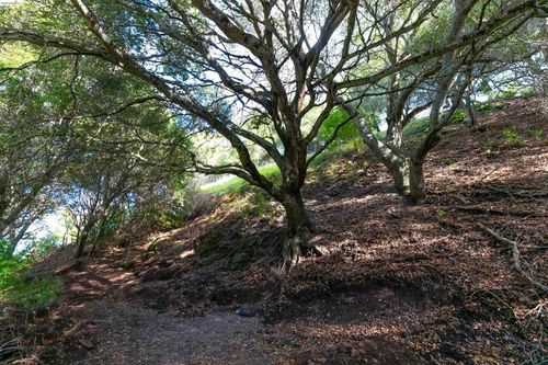 20 Lucille Way, Orinda, CA, 94563-3715 | Card Image