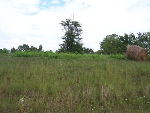 0 Lake Bend Court, Lot 31, Abingdon, VA, 24211 | Card Image