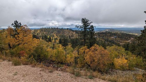 Prodigal Son LD Terry Summit Road, lead, SD, 57754 | Card Image