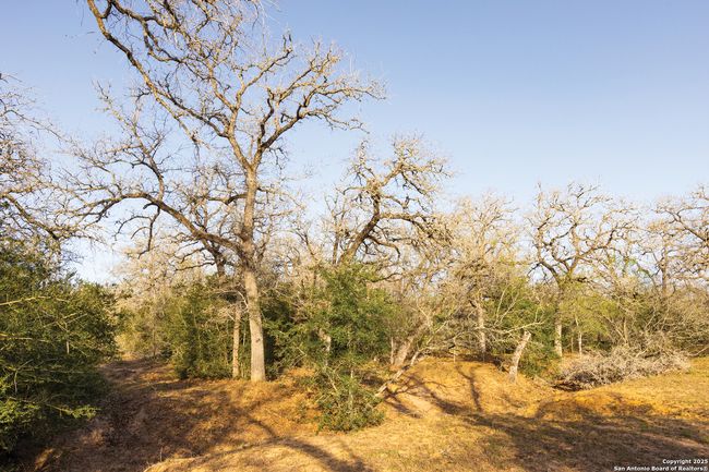 343 Batey Rd, Home with 3 bedrooms, 2 bathrooms and null parking in Nixon TX | Image 38