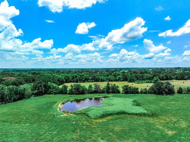 20 County Road 3533, Home with 0 bedrooms, 0 bathrooms and null parking in Saltillo TX | Image 5