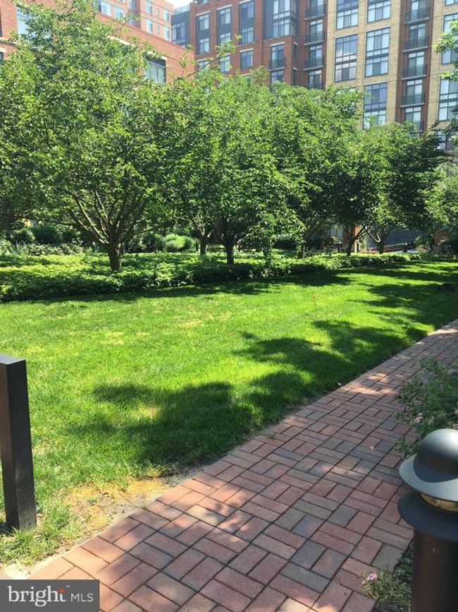 UNIT-334 - 520 John Carlyle St, Condo with 1 bedrooms, 1 bathrooms and null parking in ALEXANDRIA VA | Image 18