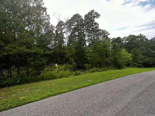 Lot 88 Cobalt Bay Drive, Shirley, AR, 72153 | Card Image