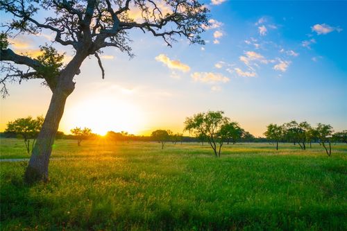 0 Golden Hour Ranch, Johnson City, TX, 78636 | Card Image