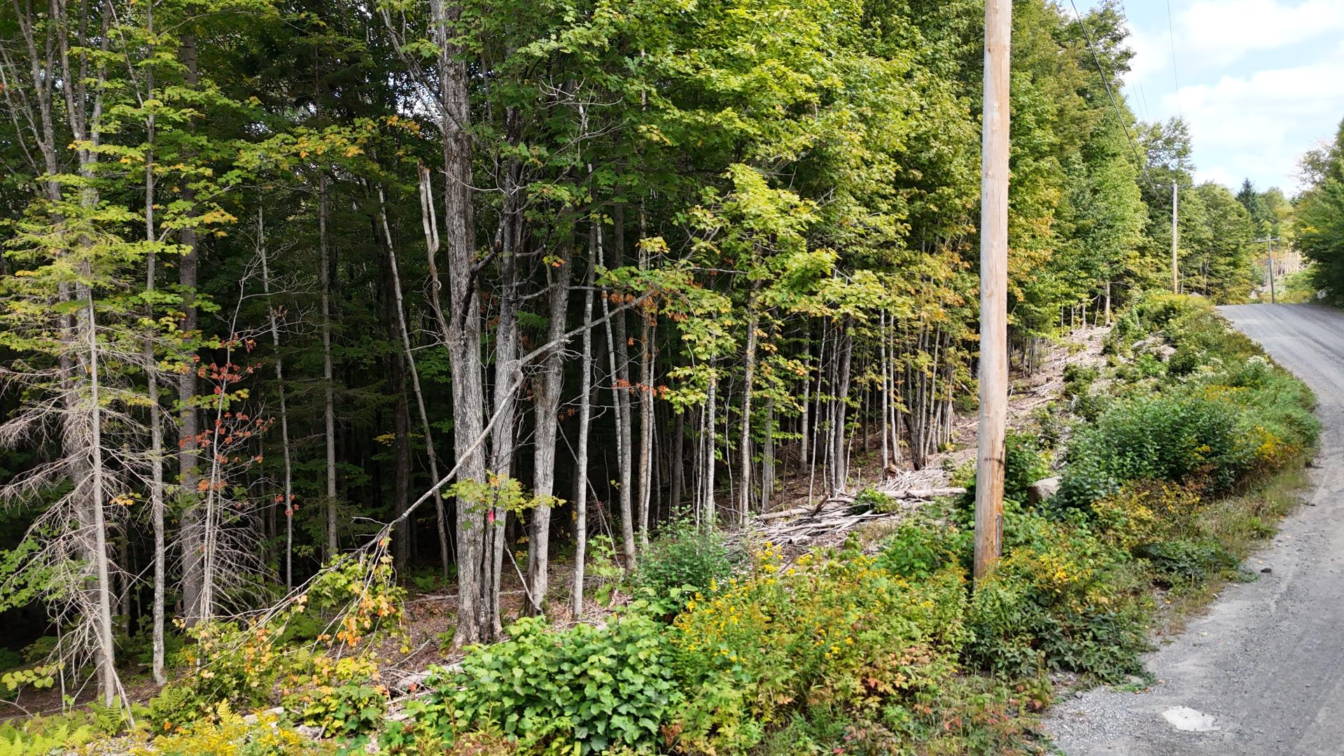 Land in Sainte-Agathe-des-Monts 5
