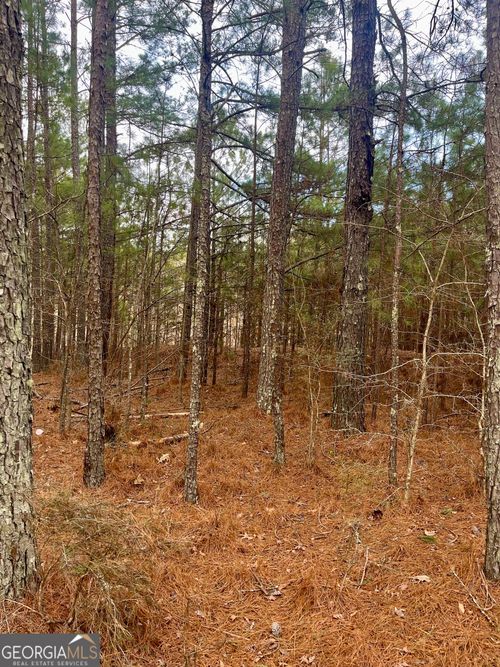 lot-4-0 Padgett Road, Senoia, GA, 30276 | Card Image