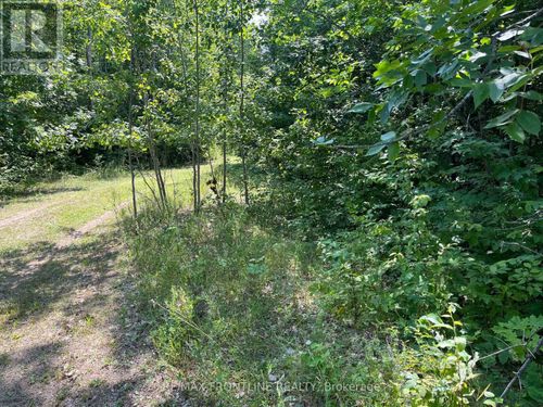 0 Red Pine Rd, Maberly, ON, K0H2B0 | Card Image