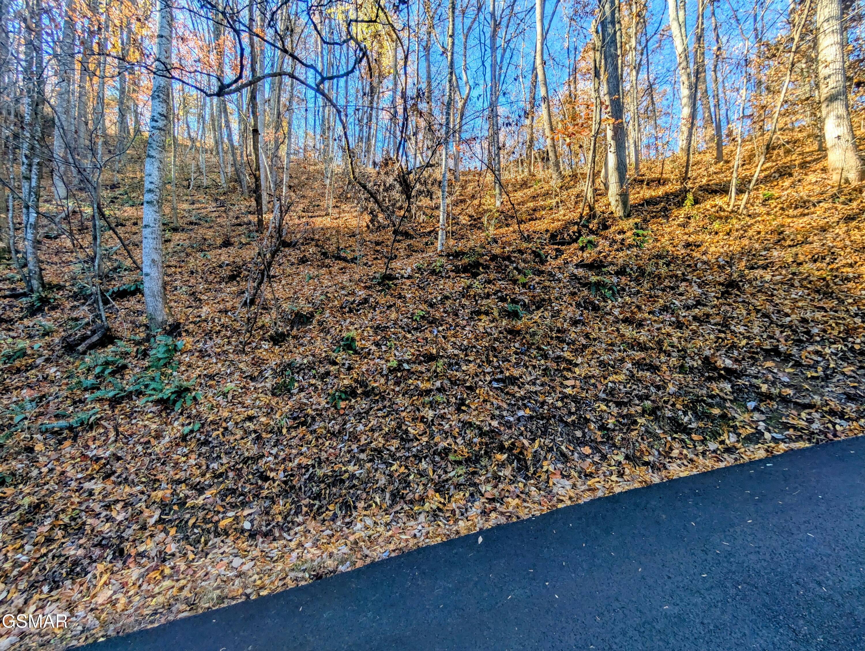 Land in Sevierville