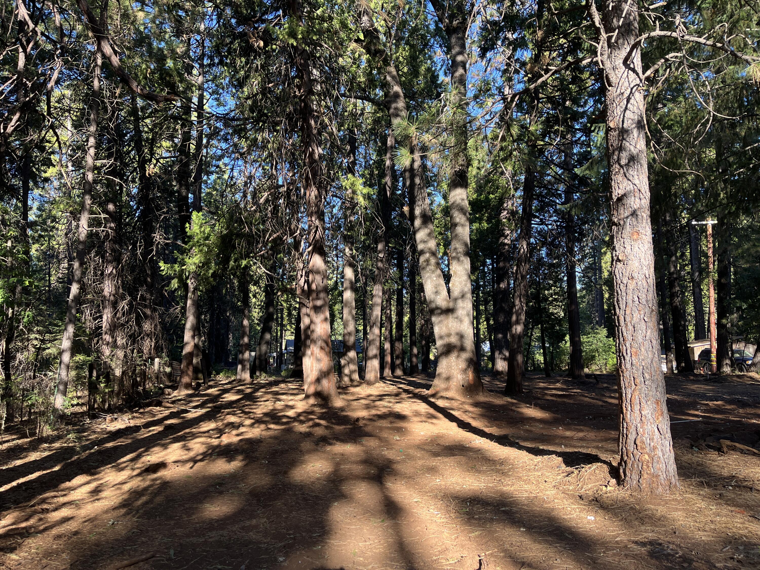 Land in Shingletown 3