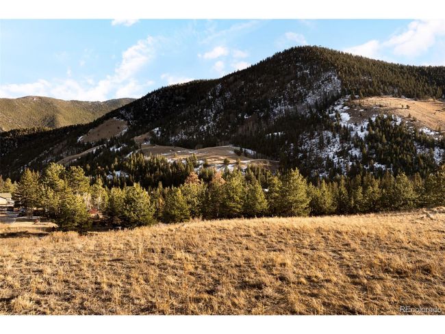 258 E Mountain Ave, House other with 3 bedrooms, 3 bathrooms and null parking in Empire CO | Image 24