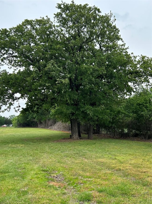View of yard | Image 20