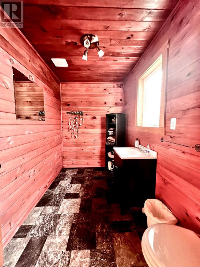 146520 Constance, Home with 2 bedrooms, 1 bathrooms and null parking in Millertown Junction NL | Image 37