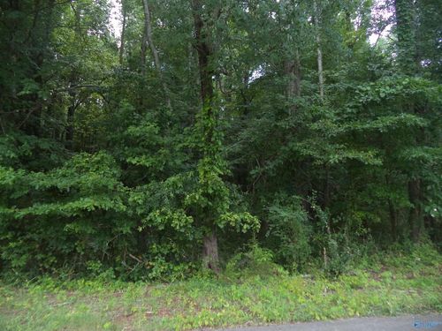 Lot 26 Cottonwood Dr, Hazel Green, AL, 35750 | Card Image