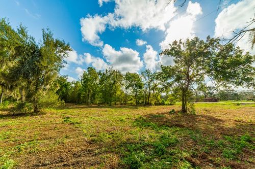 0 County Road 319, Brazoria, TX, 77422 | Card Image