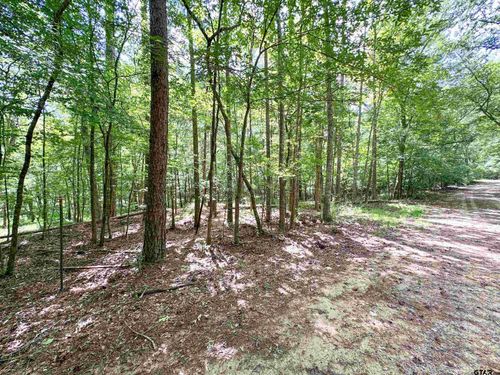 0 An County Road 3194, Frankston, TX, 75763 | Card Image