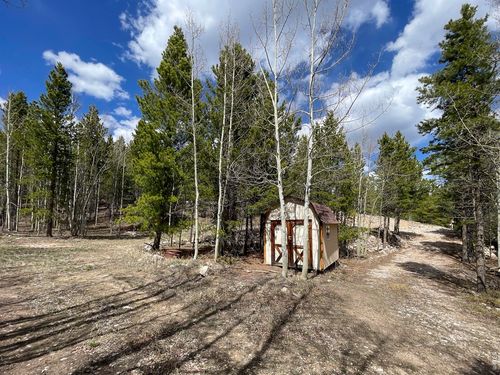 3105 Ottawa Way, Red Feather Lakes, CO, 80545 | Card Image