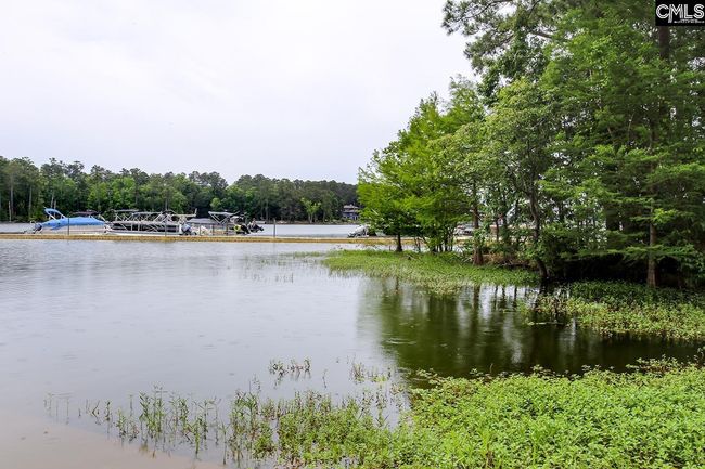 348 Amalfi Dr, House other with 3 bedrooms, 3 bathrooms and null parking in Chapin SC | Image 35
