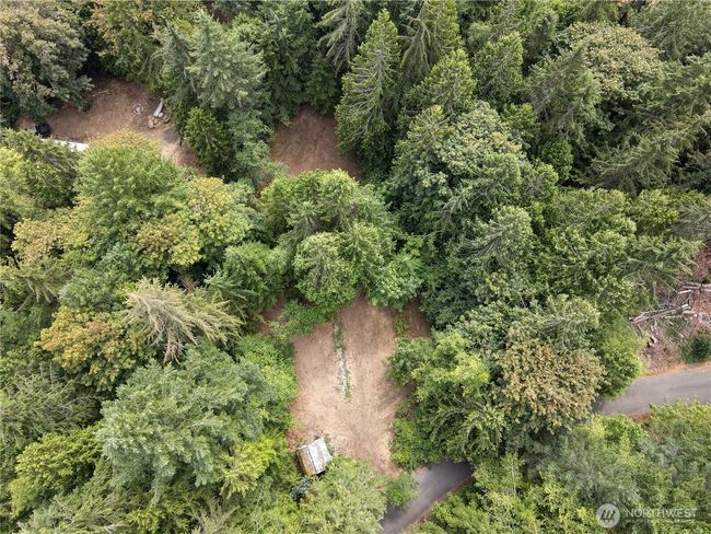 51 N Trail Head Loop, Home with 0 bedrooms, 0 bathrooms and null parking in Lilliwaup WA | Image 9