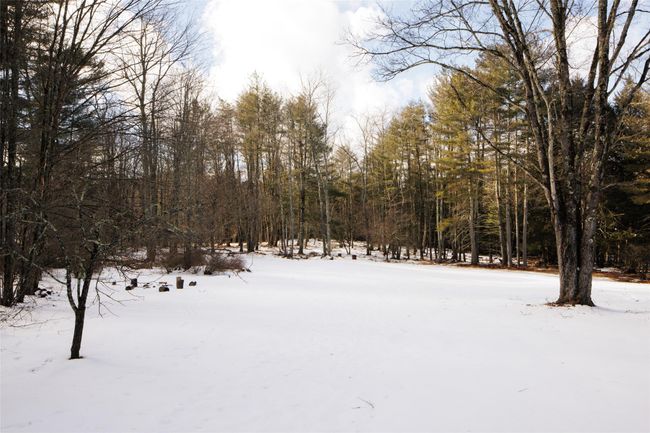 View of yard layered in snow | Image 29