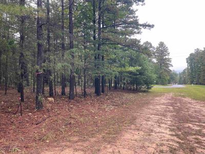 Lot 39 Crockett Road, Home with 0 bedrooms, 0 bathrooms and null parking in Greers Ferry AR | Image 1