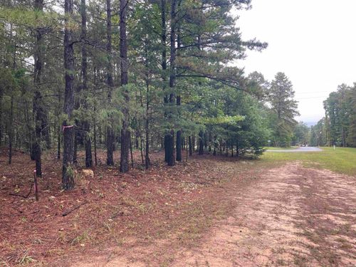 Lot 39 Crockett Road, Greers Ferry, AR, 72067 | Card Image