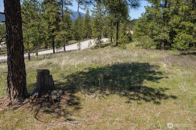 1622 Palmer Loop, Home with 0 bedrooms, 0 bathrooms and null parking in Chewelah WA | Image 9