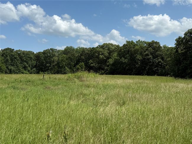 View of tree filled area featuring a view of rural / pastoral area | Image 10