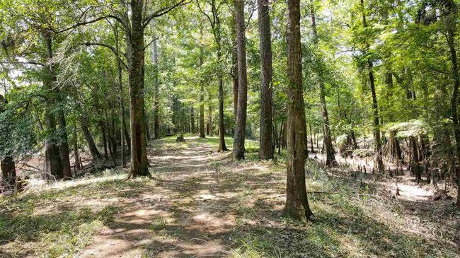 000 Highway 96 Byp, Home with 0 bedrooms, 0 bathrooms and null parking in Silsbee TX | Image 18