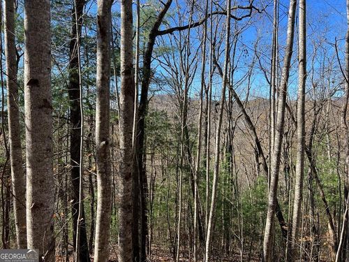 406 Barefoot Rise, Hiawassee, GA, 30546-2924 | Card Image