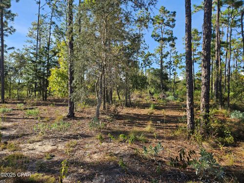 272 Springer Dr, Chipley, FL, 32428 | Card Image