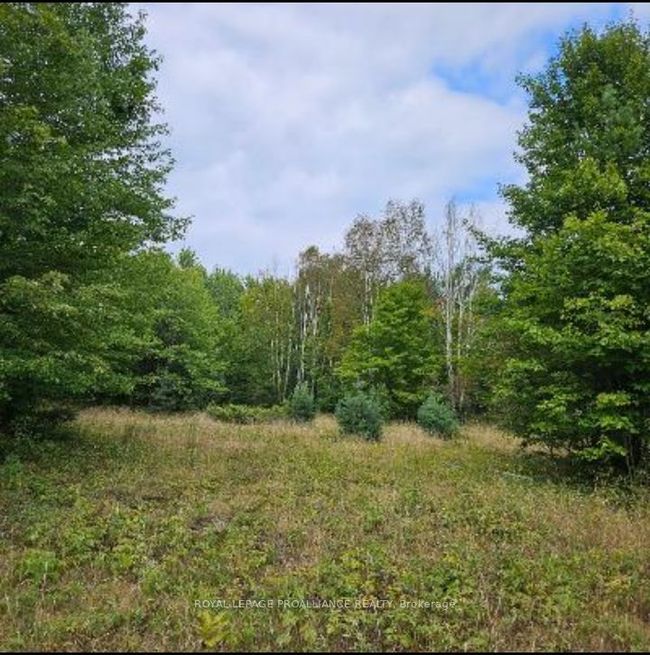 00 Highway 41, Home with 0 bedrooms, 0 bathrooms and null parking in Kaladar ON | Image 17