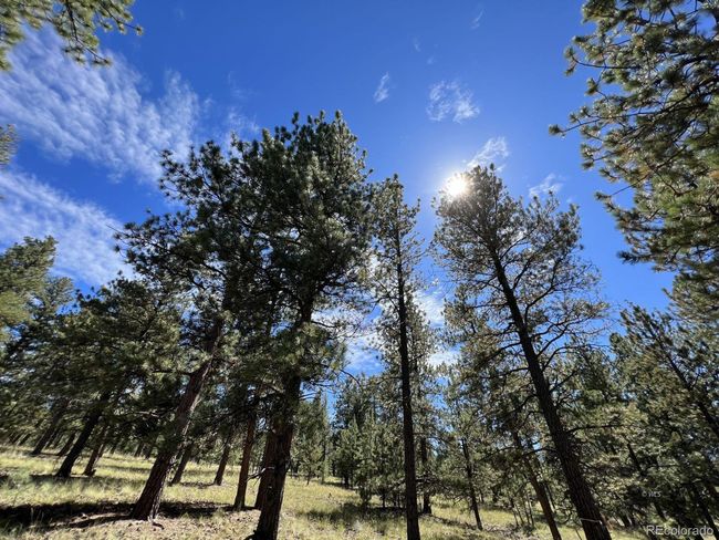 82 Kiowa Cir, Home with 0 bedrooms, 0 bathrooms and null parking in Westcliffe CO | Image 27