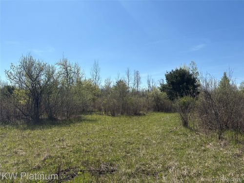 Parcel C Wicha Drive, Burtchville Township, MI, 48059 | Card Image