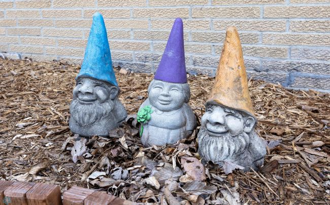 Space for all Your Gnomes! | Image 32