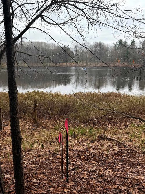 03 Woodland Trail, Almira Township, MI, 49684 | Card Image